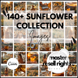 140+ Faceless Sunflower Collection Images with Master Resell Rights